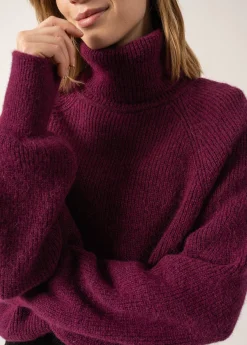 Saint James Jumpers, Cardigans, Jackets*Albertville Alpaca Roll-neck Jumper Prune