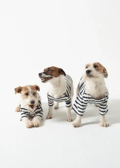Saint James Dog Accessories* iconic Toutounière