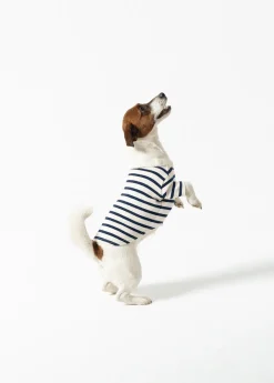Saint James Dog Accessories* iconic Toutounière