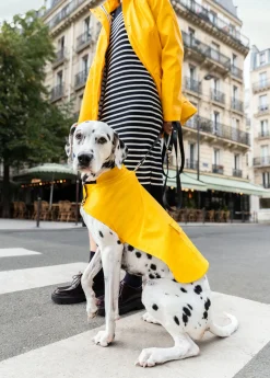 Saint James Dog Accessories*The Toutouciré Jaune