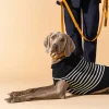 Saint James Dog Accessories*The Toutoupull Navy/ecume