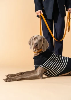 Saint James Dog Accessories*The Toutoupull Navy/ecume