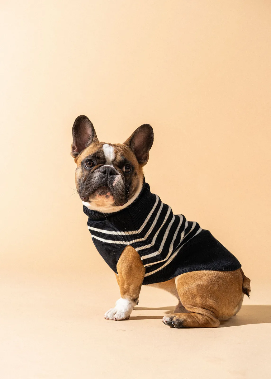 Saint James Dog Accessories*The Toutoupull Navy/ecume