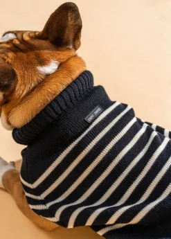 Saint James Dog Accessories*The Toutoupull Navy/ecume